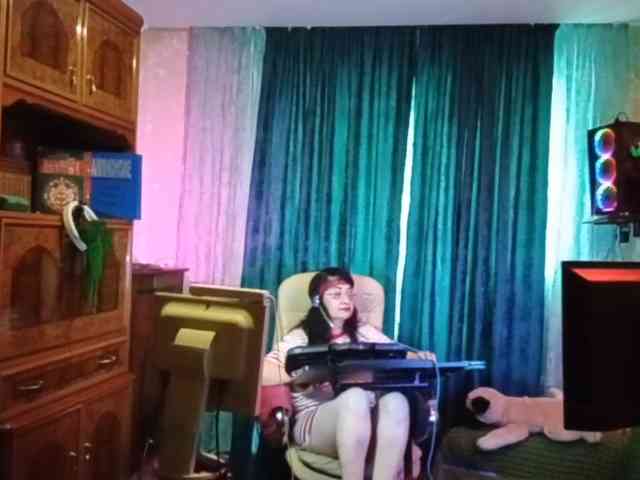 Infodar webcam
