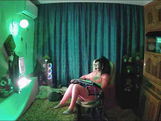 Infodar webcam