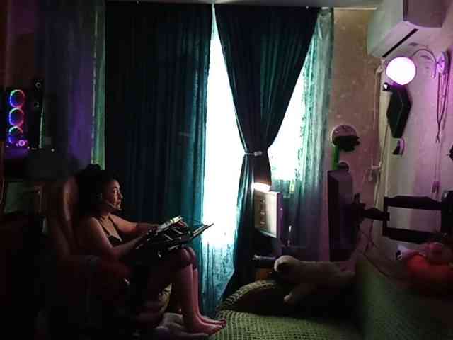 Infodar webcam