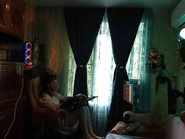 Infodar webcam