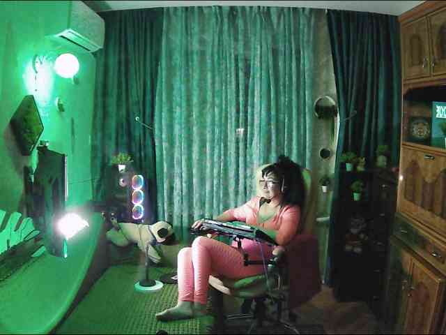 Infodar webcam