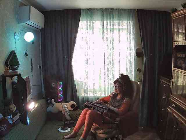 Infodar webcam