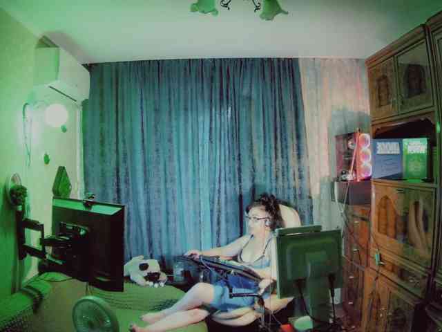 Infodar webcam