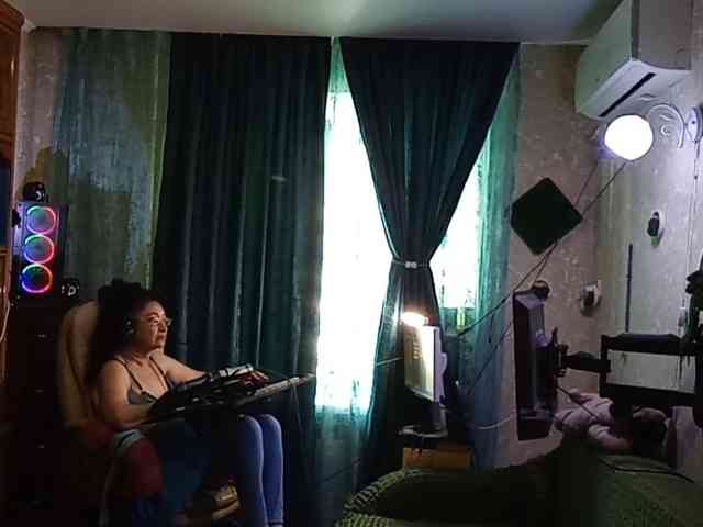 Infodar webcam