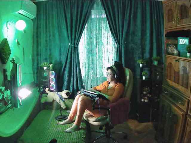 Infodar webcam