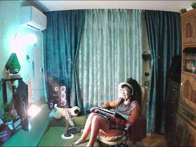 Infodar webcam