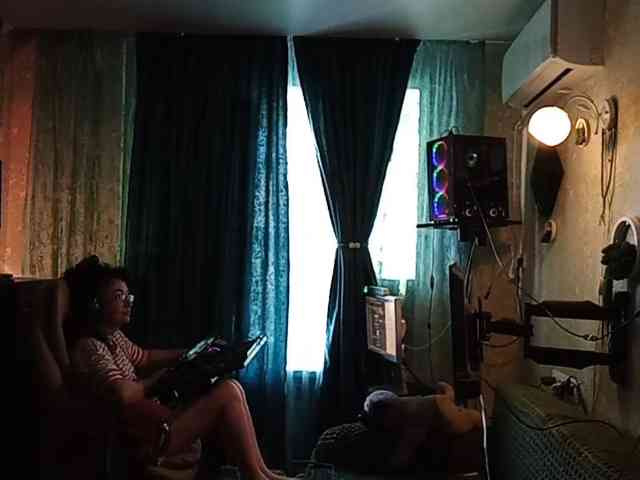 Infodar webcam