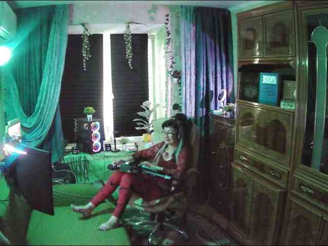 Infodar webcam