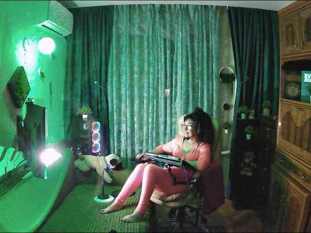 Infodar webcam
