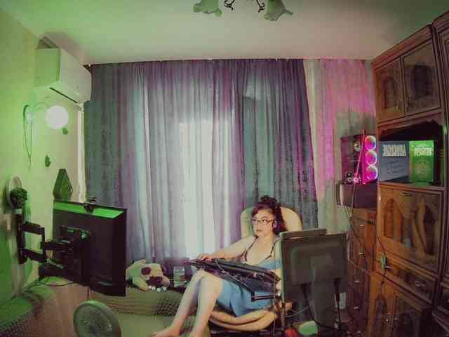 Infodar webcam