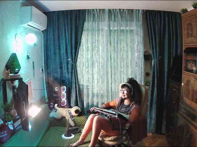 Infodar webcam
