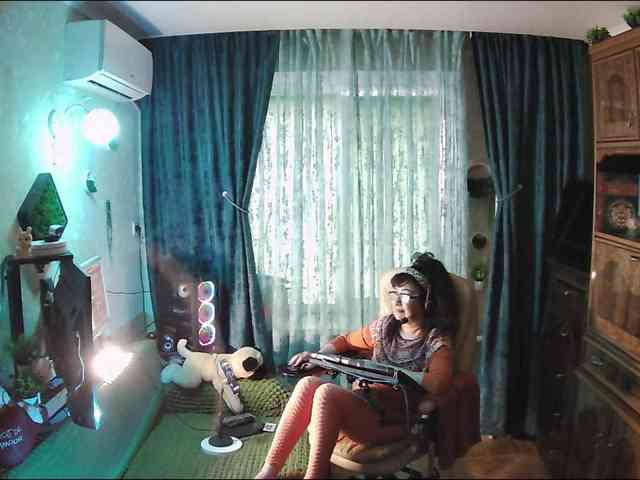 Infodar webcam