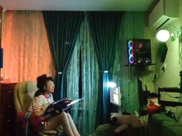 Infodar webcam