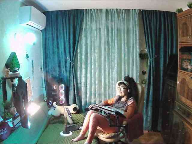 Infodar webcam