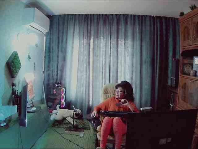 Infodar webcam