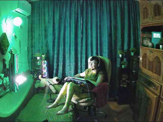Infodar webcam
