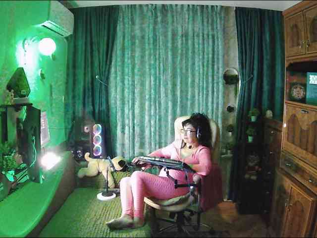 Infodar webcam