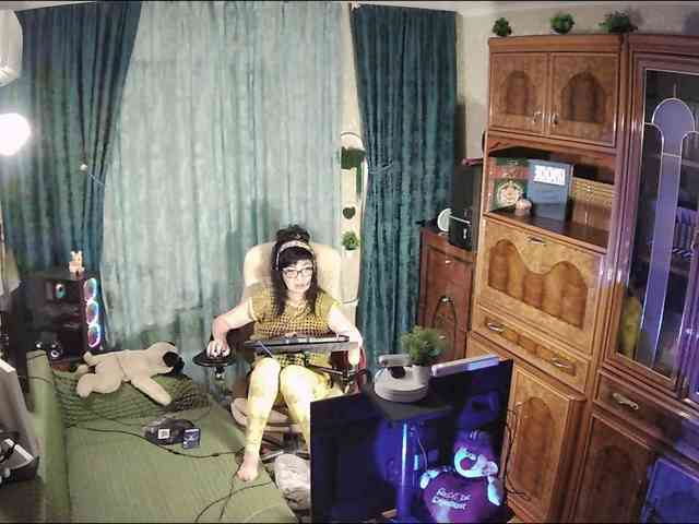 Infodar webcam