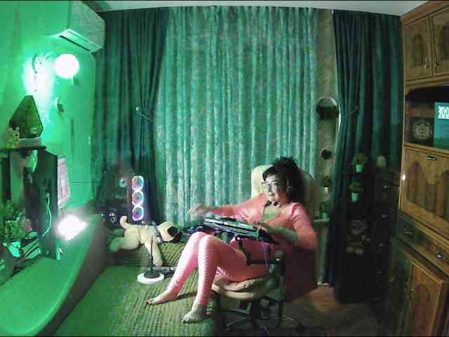 Infodar webcam