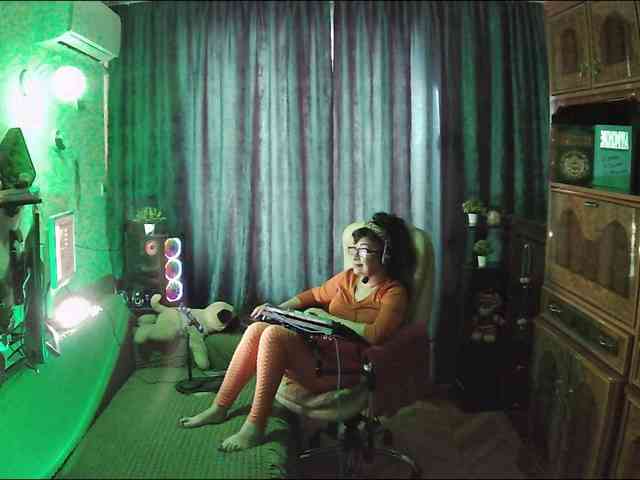 Infodar webcam