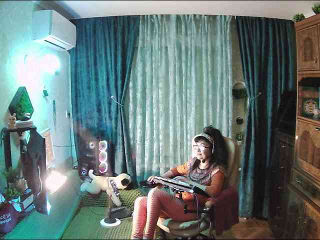 Infodar webcam