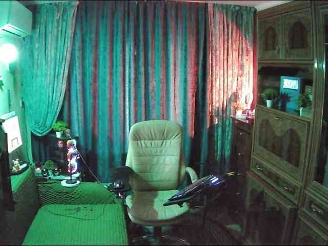 Infodar webcam