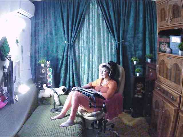 Infodar webcam