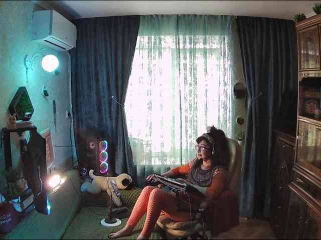 Infodar webcam