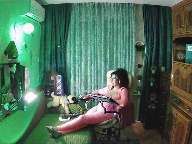 Infodar webcam