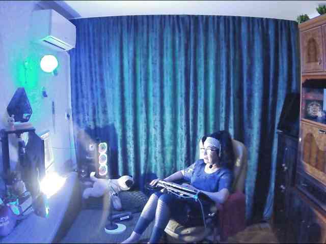Infodar webcam