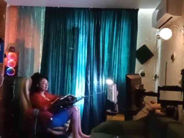 Infodar webcam