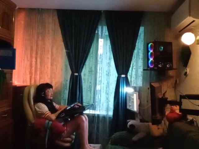 Infodar webcam