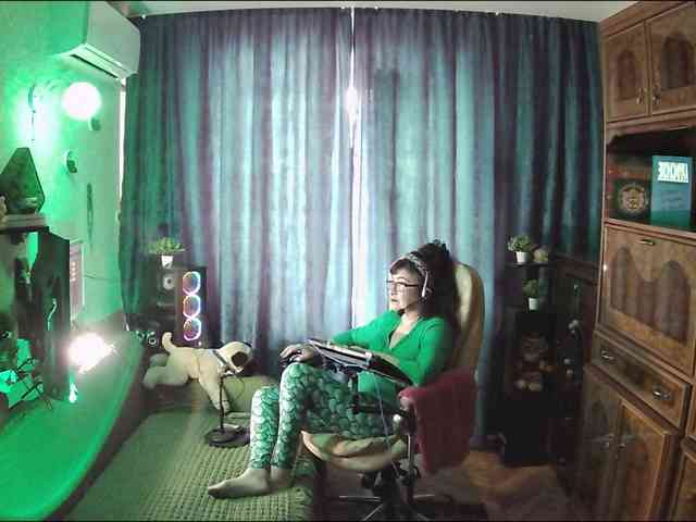 Infodar webcam