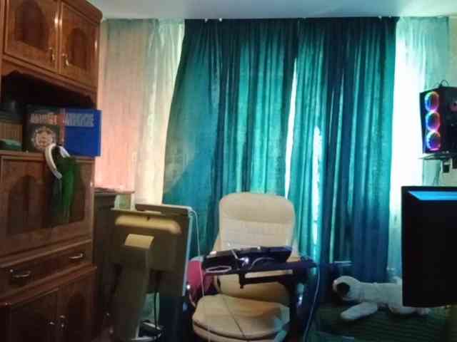 Infodar webcam
