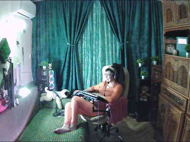 Infodar webcam