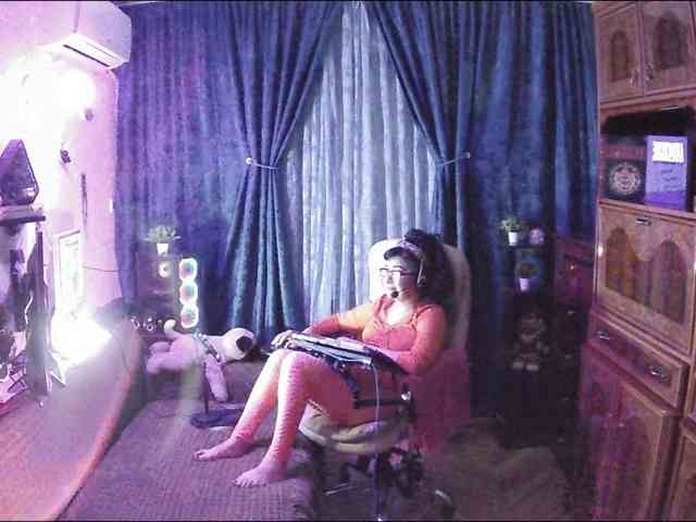 Infodar webcam