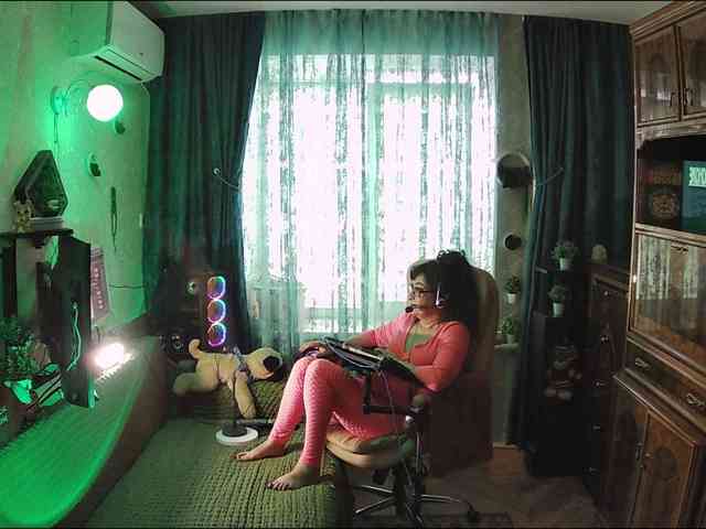 Infodar webcam