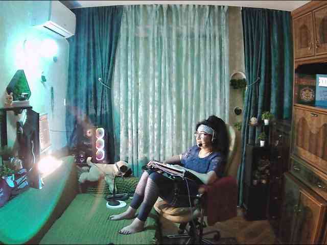 Infodar webcam