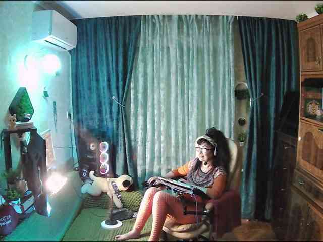Infodar webcam
