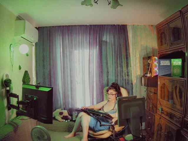 Infodar webcam