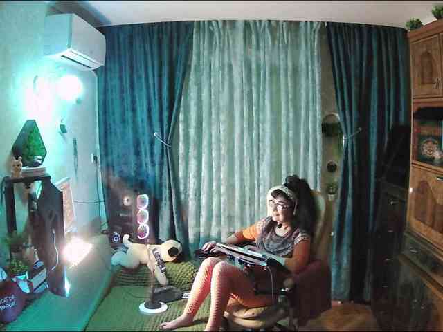 Infodar webcam