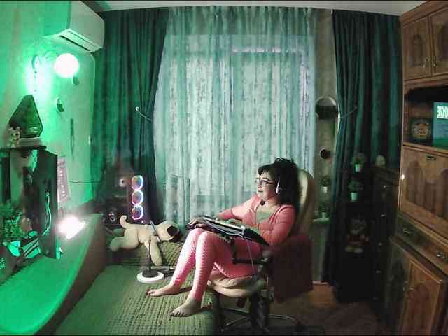 Infodar webcam