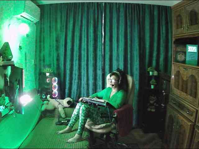 Infodar webcam