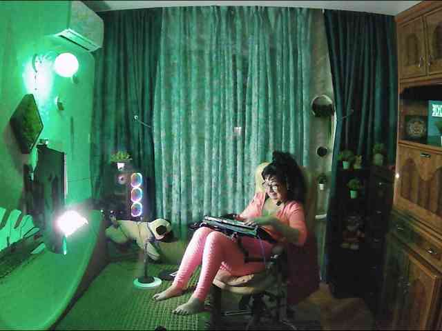 Infodar webcam