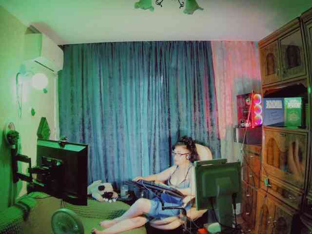 Infodar webcam