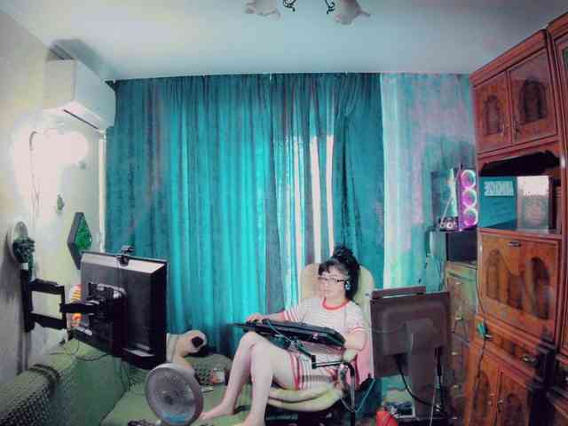 Infodar webcam