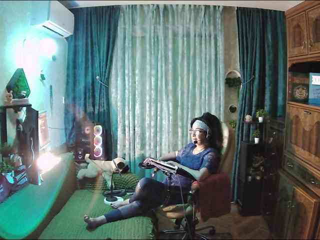 Infodar webcam