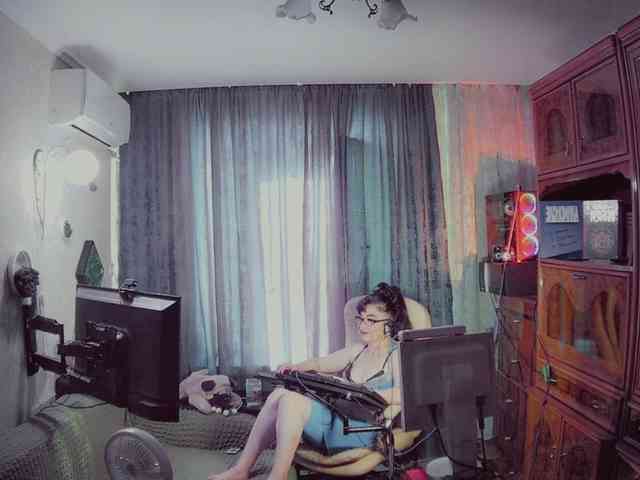 Infodar webcam