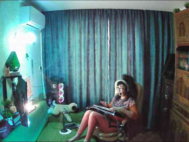 Infodar webcam