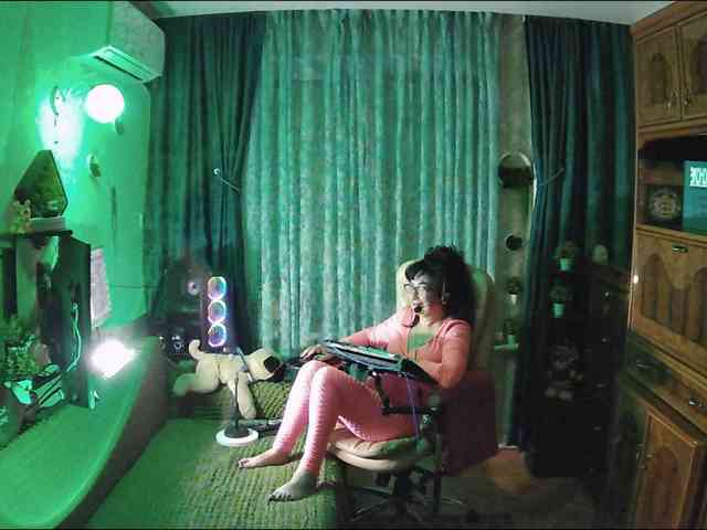 Infodar webcam